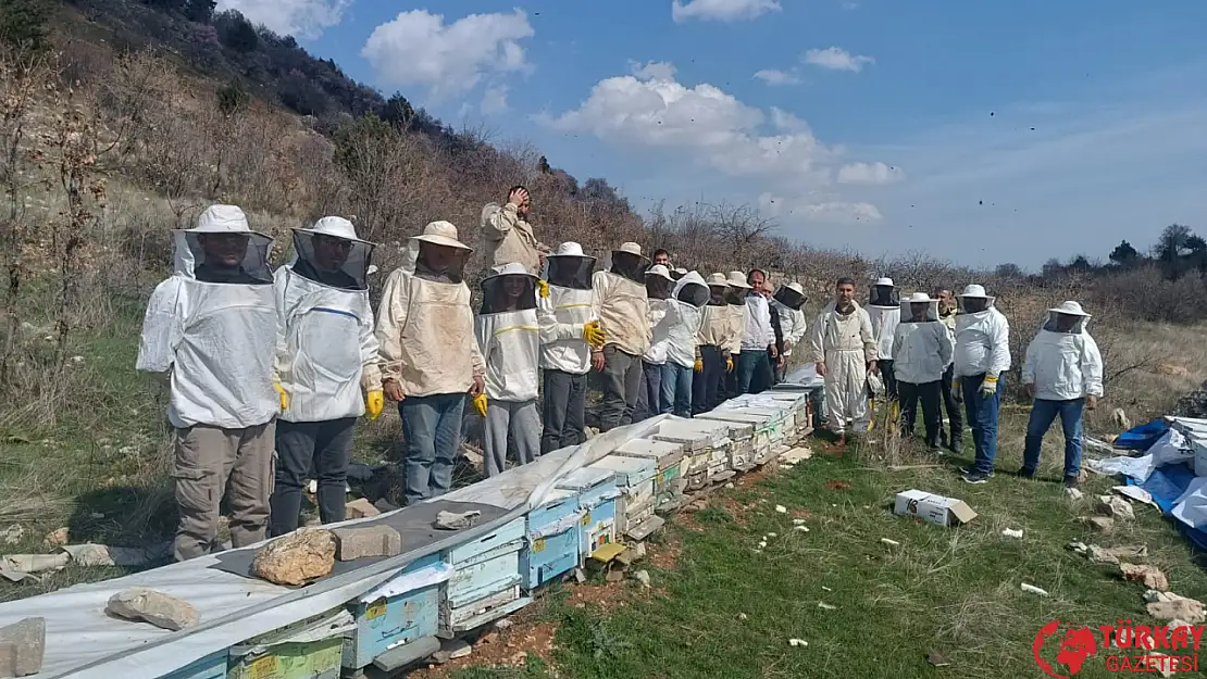 Başkan Yiğit: Adıyaman'da iklim koşulları bal arılarını olumsuz etkiliyor