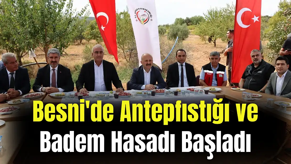 Besni'de Antepfıstığı ve badem hasadı başladı