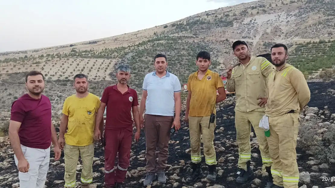 Besni'de çıkan orman yangını söndürüldü: 5 hektar alan yangında kül oldu