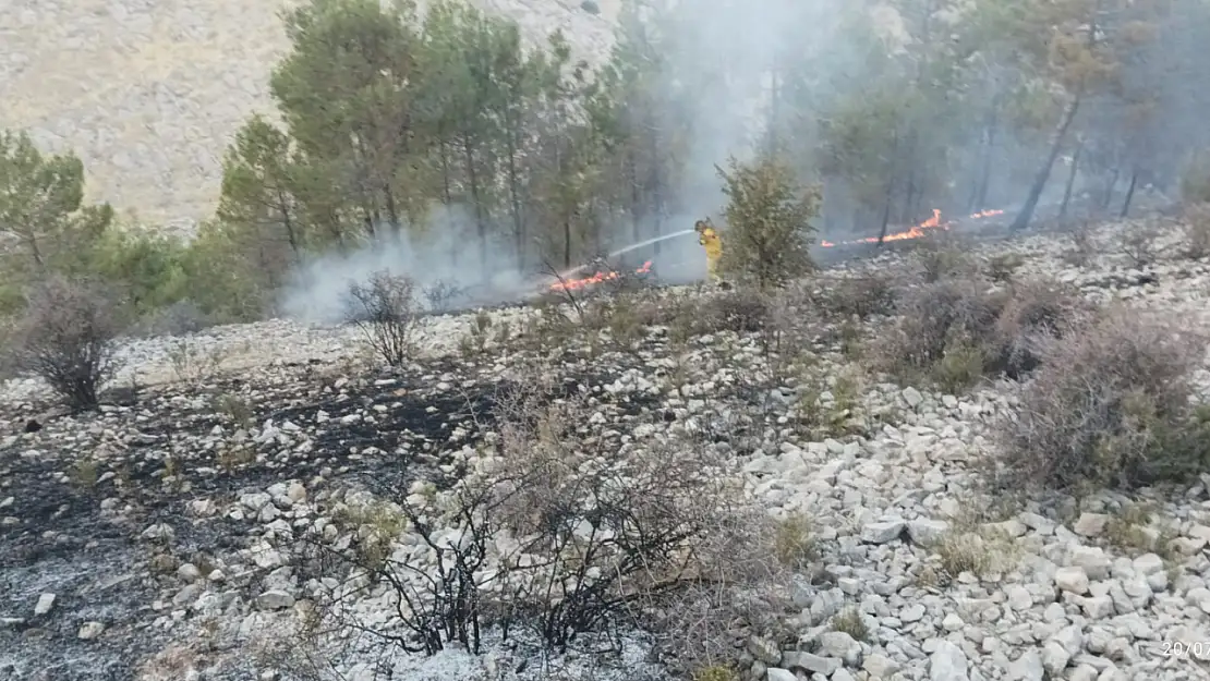 Besni'de korkutan orman yangını
