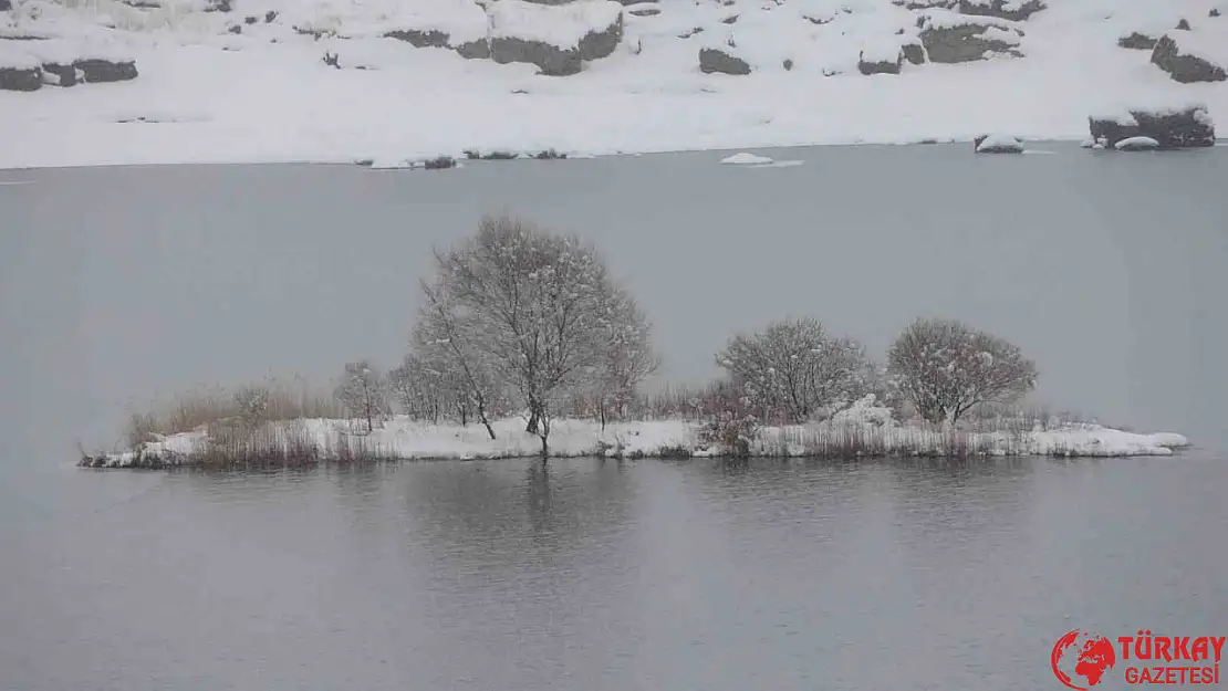 Buz tutan Çat Barajı'ndaki yüzen adalar beyaza büründü