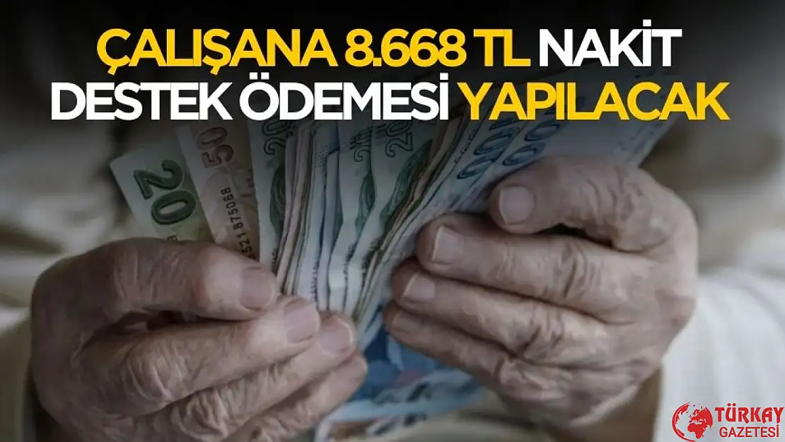 Çalışana 8.668 TL destek ödemesi yapılacak! Şartlar belli oldu