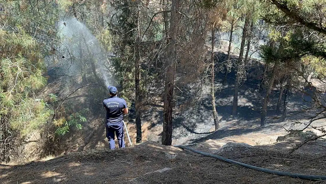 Çocukların çakmakla oyunu ormanı yaktı
