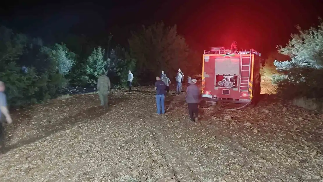 Çöp yangını ormana sıçradı