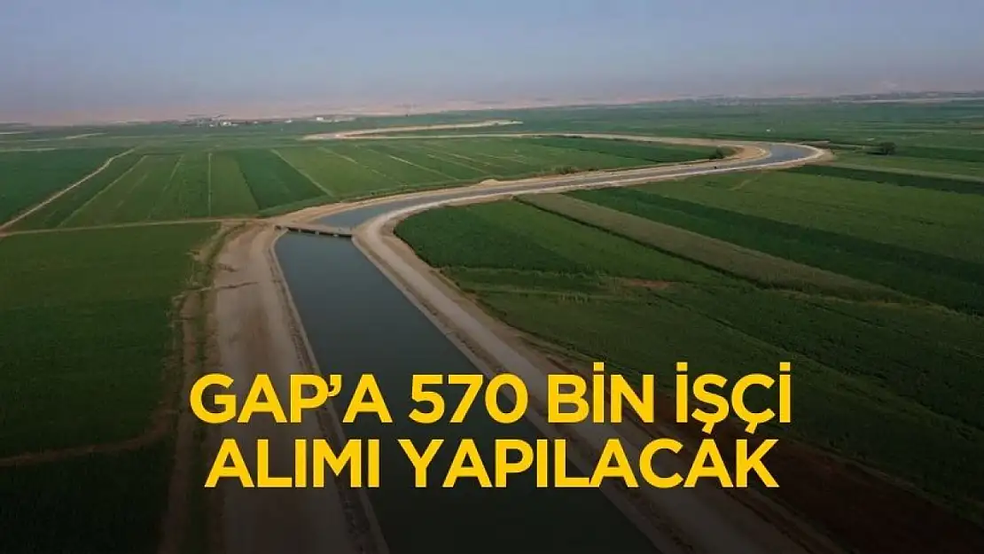 Dev personel alım ilanı geldi: GAP'a 570 bin işçi alımı yapılacak