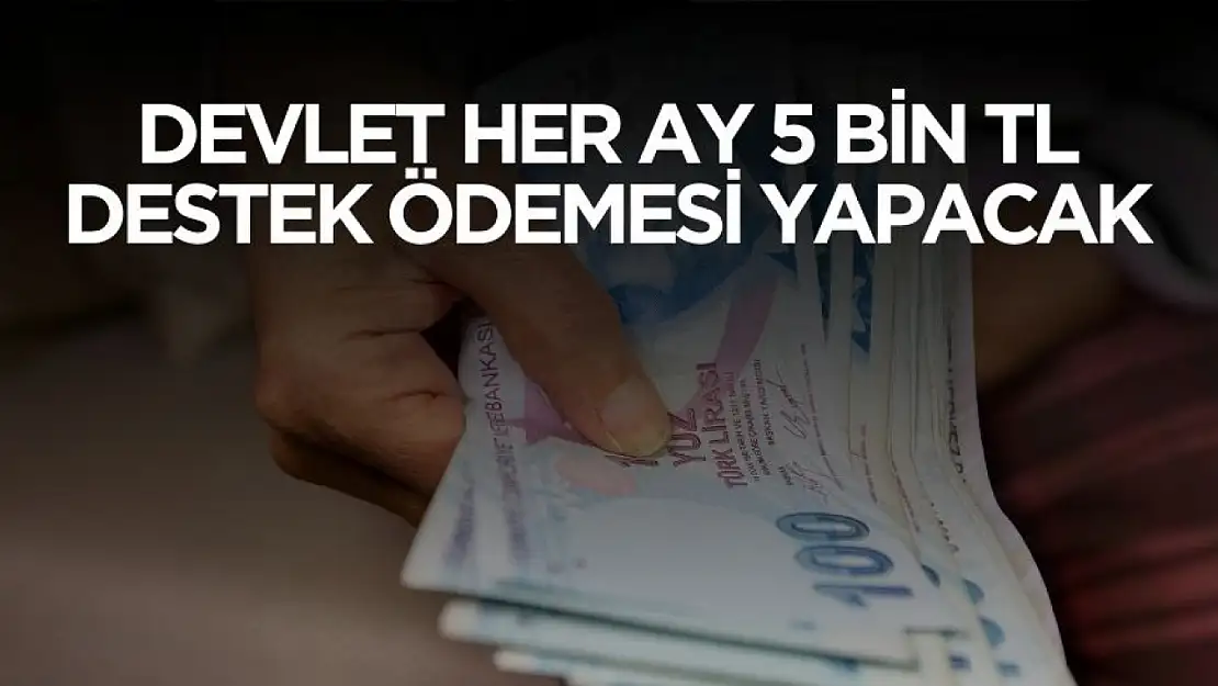 Devlet her ay 5 bin TL destek ödemesi yapacak! Şartlar açıklandı