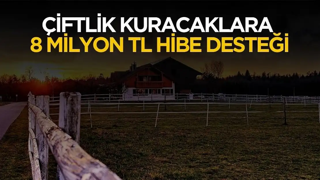 Devletten çiftlik kuracaklara 8 milyon TL hibe desteği verilecek