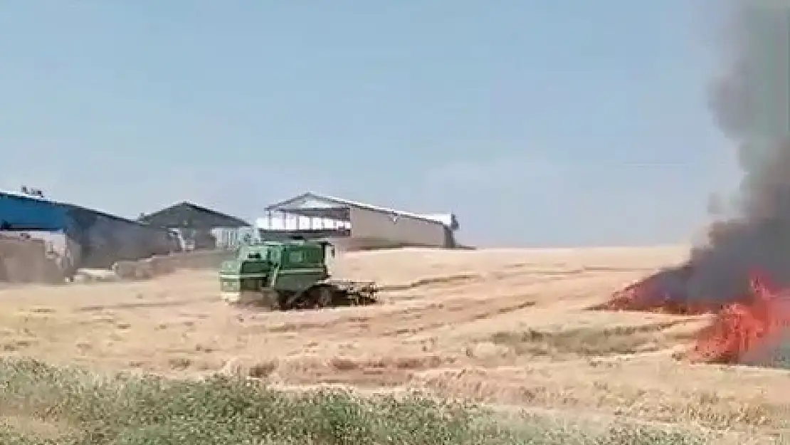 Ekili alanlar cayır cayır yandı