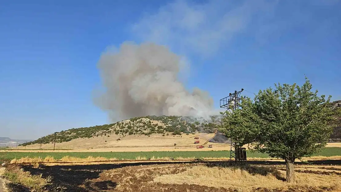 Gaziantep'te anız yakarken suçüstü yakalanan şahsa 47 bin TL ceza
