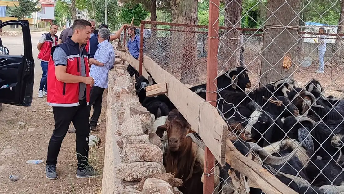 Gölbaşı'nda bayram öncesi gıda ve hayvan pazarı denetimleri gerçekleştirildi