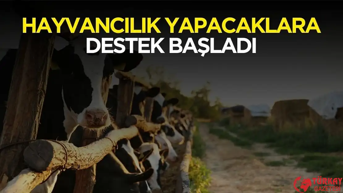 Hayvancılık yapacaklara destek başvurusu başladı