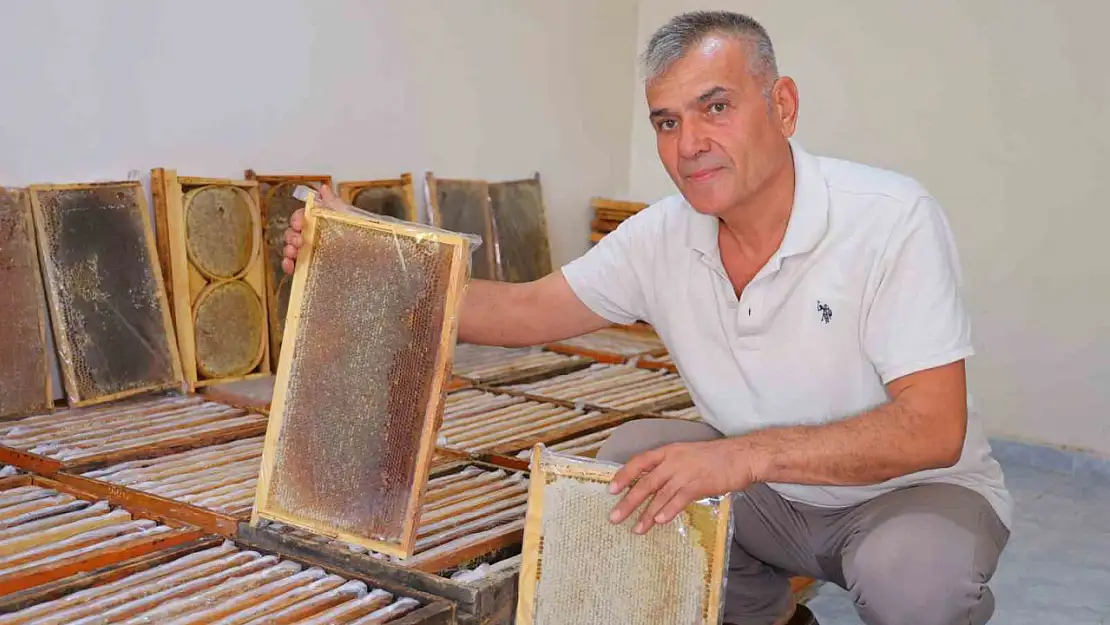 Kahramanmaraş'ta bu yıl 10 bin tonunun üzerinde bal rekoltesi bekleniyor