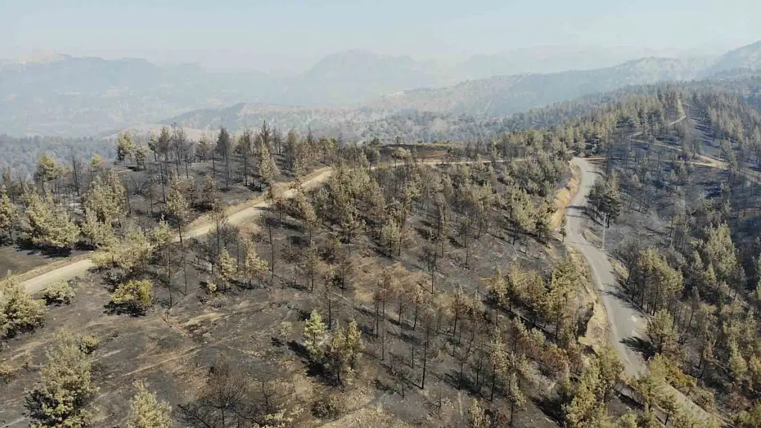 Kahramanmaraş'ta yangın sonrası küle dönen ormanlık alan dronla görüntülendi