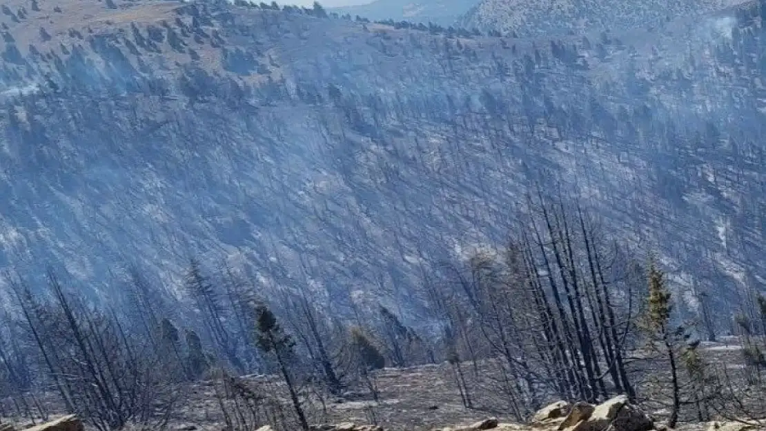 Kahramanmaraş'taki orman yangını sürüyor