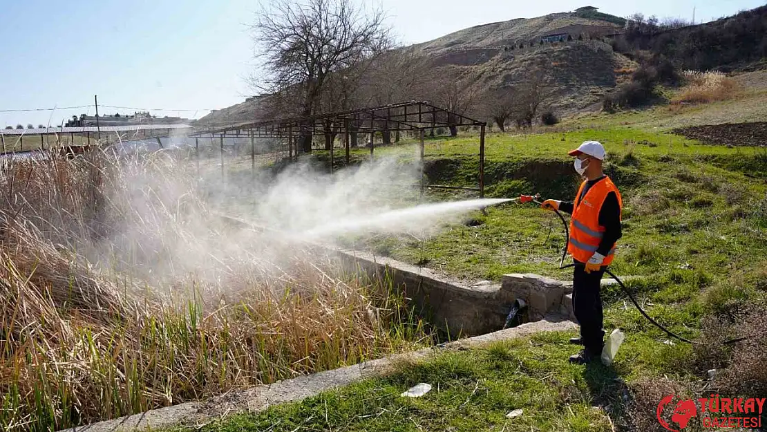 Kahta Belediyesi, ilaçlama çalışmalarına devam ediyor