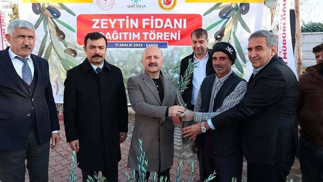 Kahta'da çiftçilere 70 bin zeytin fidanı dağıtıldı