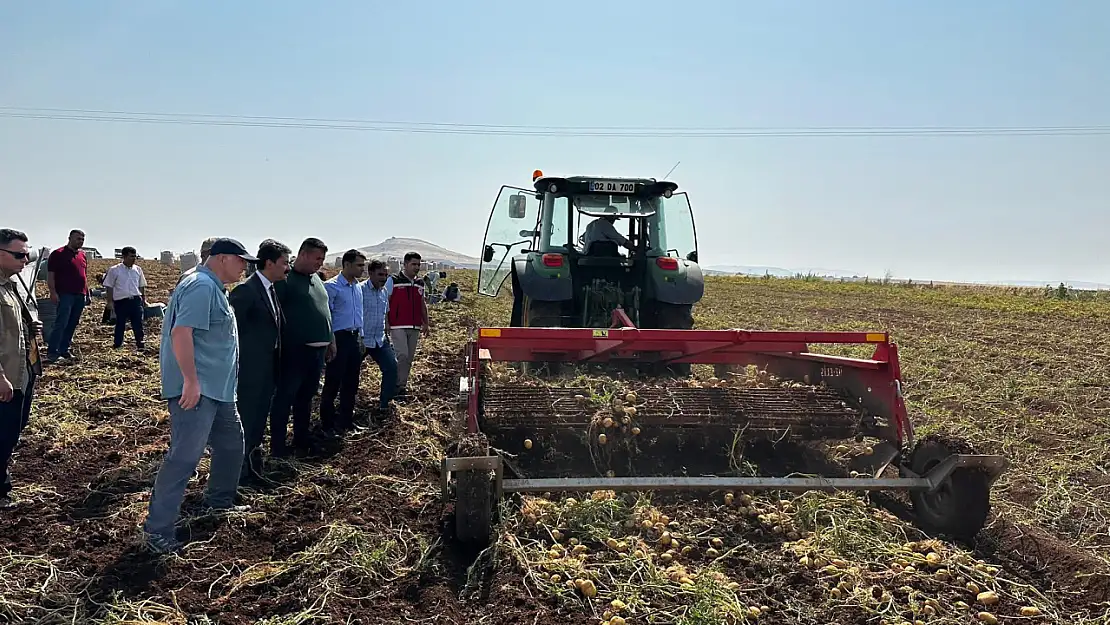 Kaymakam Aslan Besni'de patates hasadına katıldı