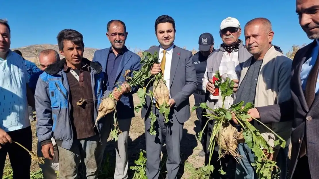 Kaymakam Seyhan, şeker pancarı hasadına katıldı