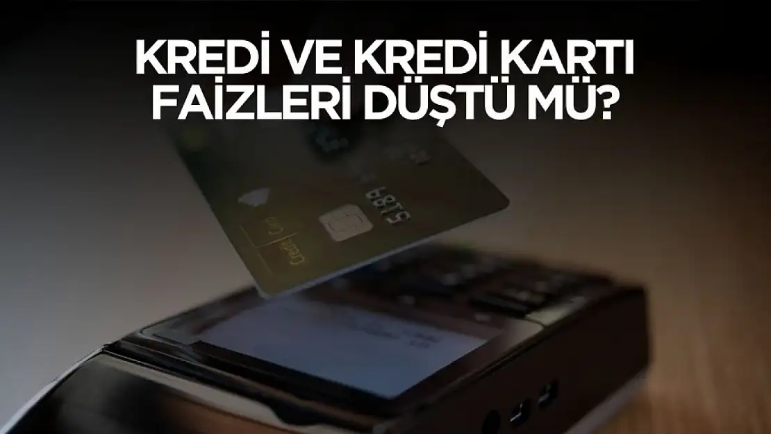 Kredi ve kredi kartı faizleri düştü mü?