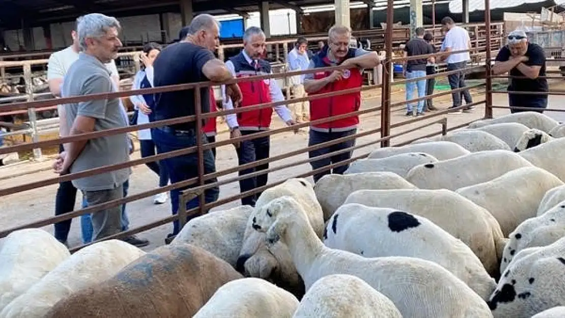 Kurbanlık hayvan satışı ve nakliyesi sıkı denetimde