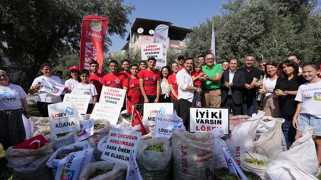 Lösemili çocuklar için zeytin hasadı