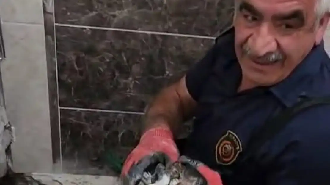 Malatya'da atık su hattına düşen yavru kedi kurtarıldı