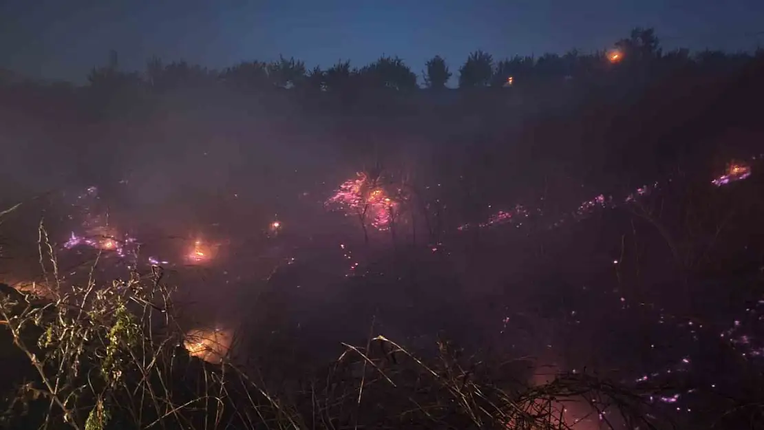 Malatya'da iki ayrı yangın