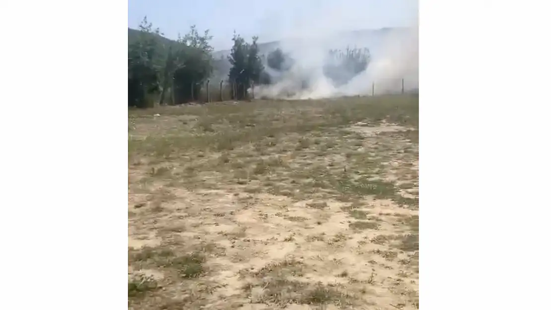Muğla Ula'da yangın çıktı