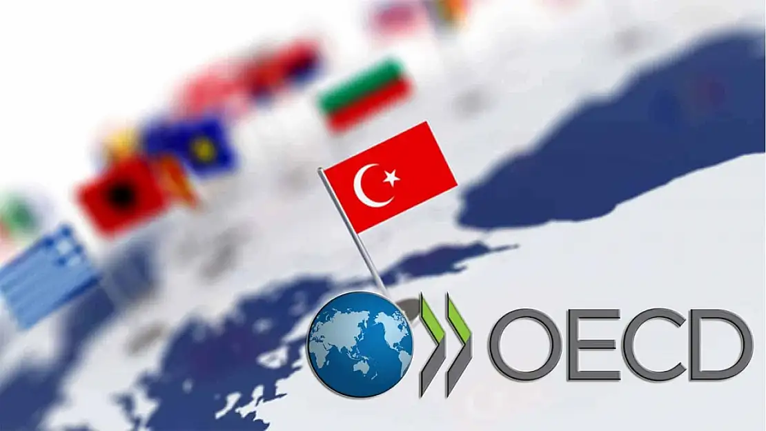 OECD Türkiye için büyüme rakamlarını açıkladı