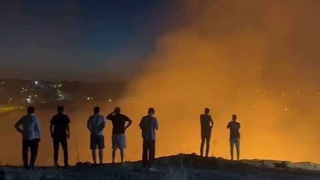 Adıyaman'da ormanlık alanda çıkan yangın korkuttu