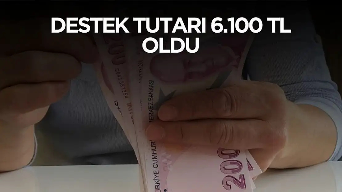 Resmi Gazete'de yayınlandı! 2025 yılı destek tutarı 6 bin 100 TL oldu