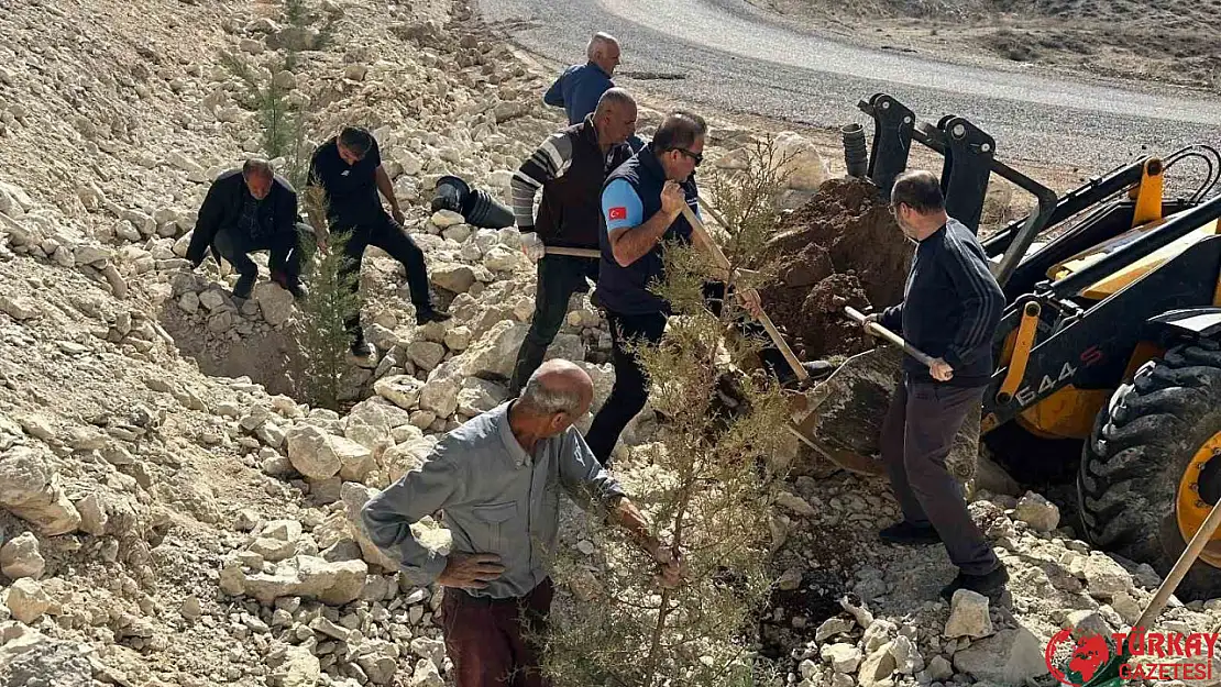 Adıyaman Samsat'ta sahabe mevkiindeki tüm yamaçlar yeşillendirildi