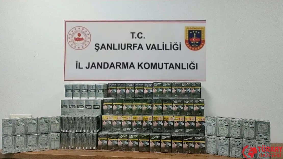 Şanlıurfa'da 980 paket gümrük kaçağı sigara ele geçirildi