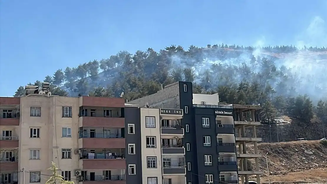 Şanlıurfa'da ağaçlık alanda çıkan yangın söndürüldü