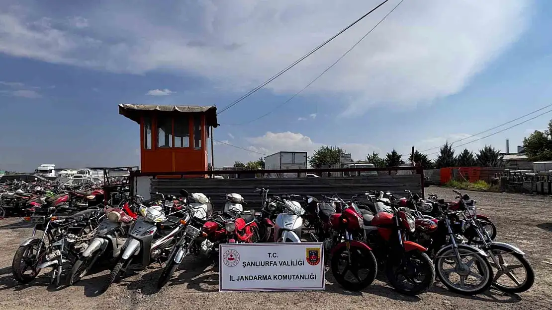 Şanlıurfa'da motosiklet hırsızlığı operasyonu: 7 gözaltı