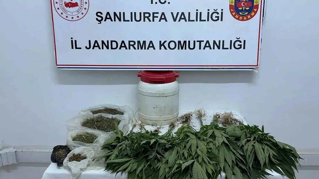 Suruç'ta uyuşturucu ele geçirildi