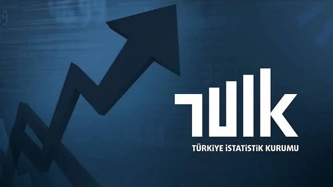 TÜİK yerli nüfus oranlarını açıkladı! İşte 81 ilin yerli nüfus istatistikleri