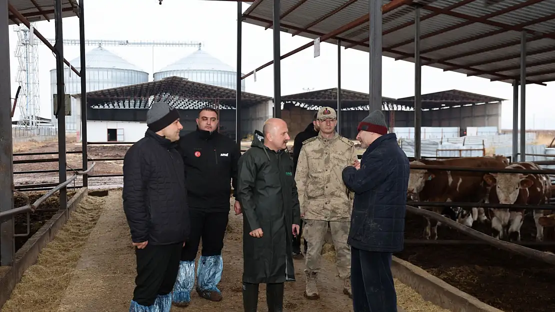 Vali Varol hayvan çiftliğinde incelemelerde bulundu