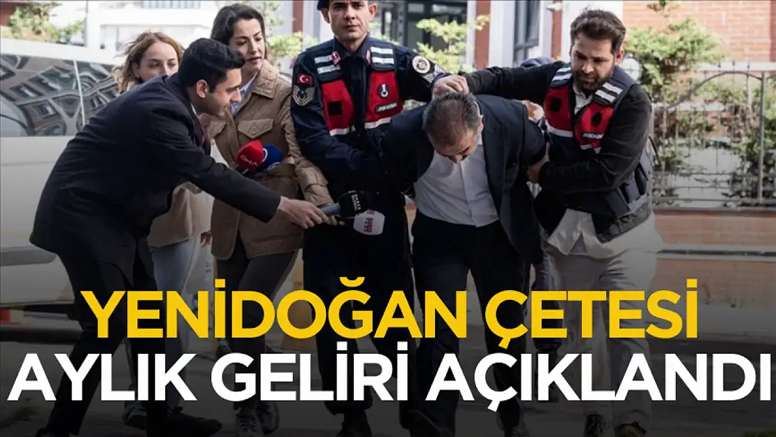 Yenidoğan Çetesi'nin aylık geliri ortaya çıktı