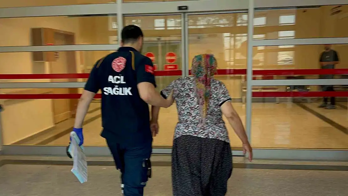 Yılanın ısırdığı kadın hastaneye kaldırıldı