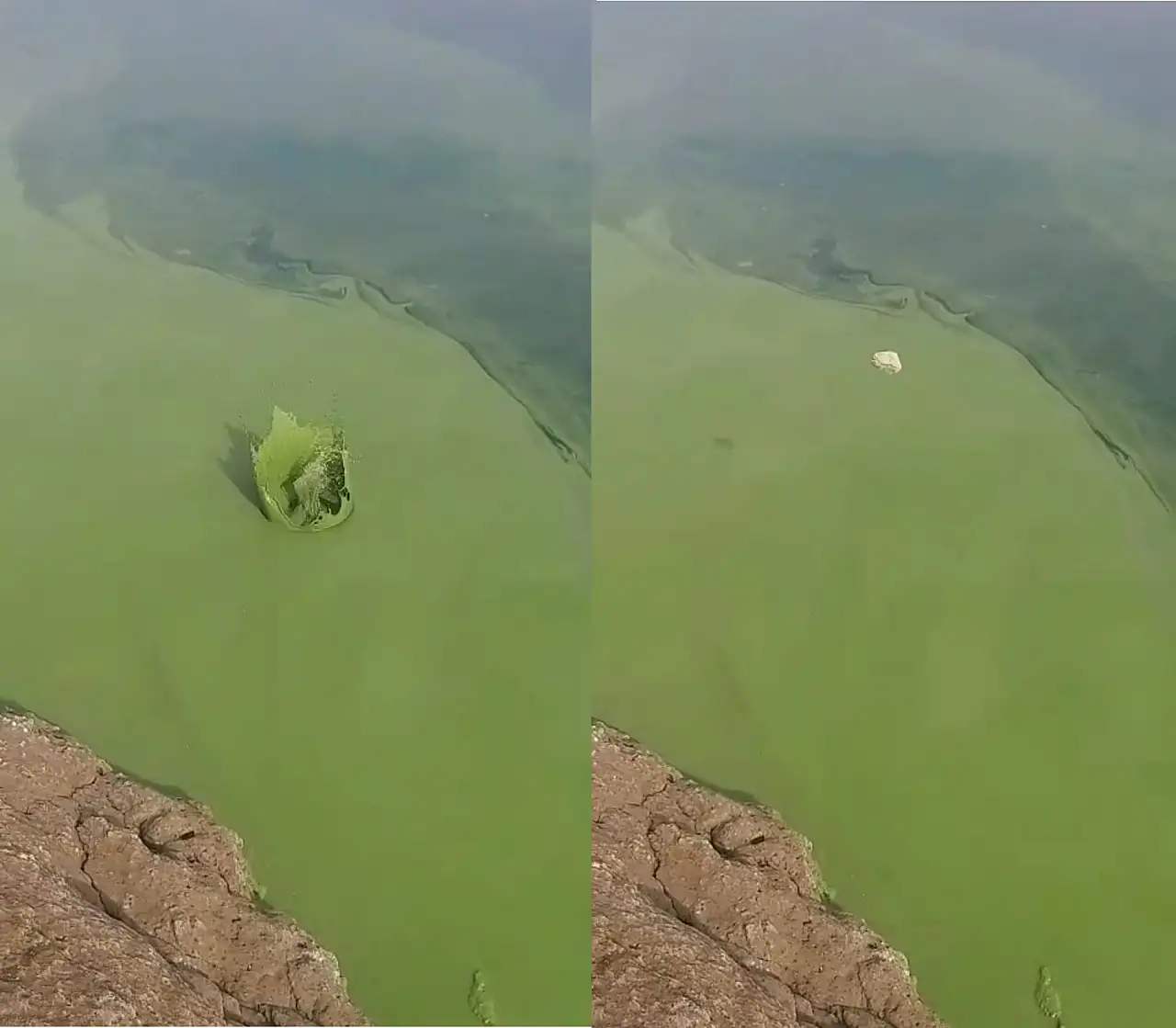 Balık avlamaya gitti hayatının şokunu yaşadı: Atatürk barajında neler oluyor?