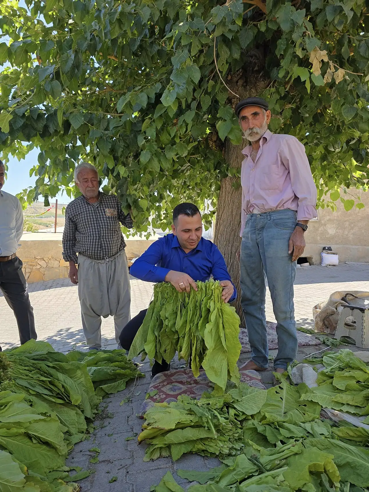 Kaymakam Algın Yeniköy Köyünde vatandaşlarla bir araya geldi