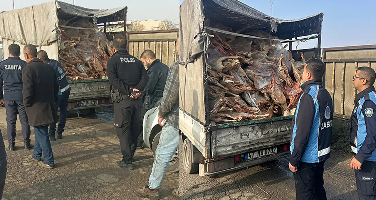 Kamyonet kasasında kilolarca bozuk et ele geçirildi