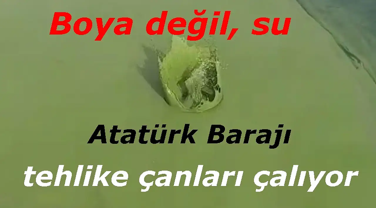 Balık avlamaya gitti hayatının şokunu yaşadı: Atatürk barajında neler oluyor?