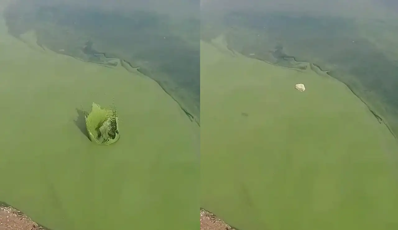 Balık avlamaya gitti hayatının şokunu yaşadı: Atatürk barajında neler oluyor?