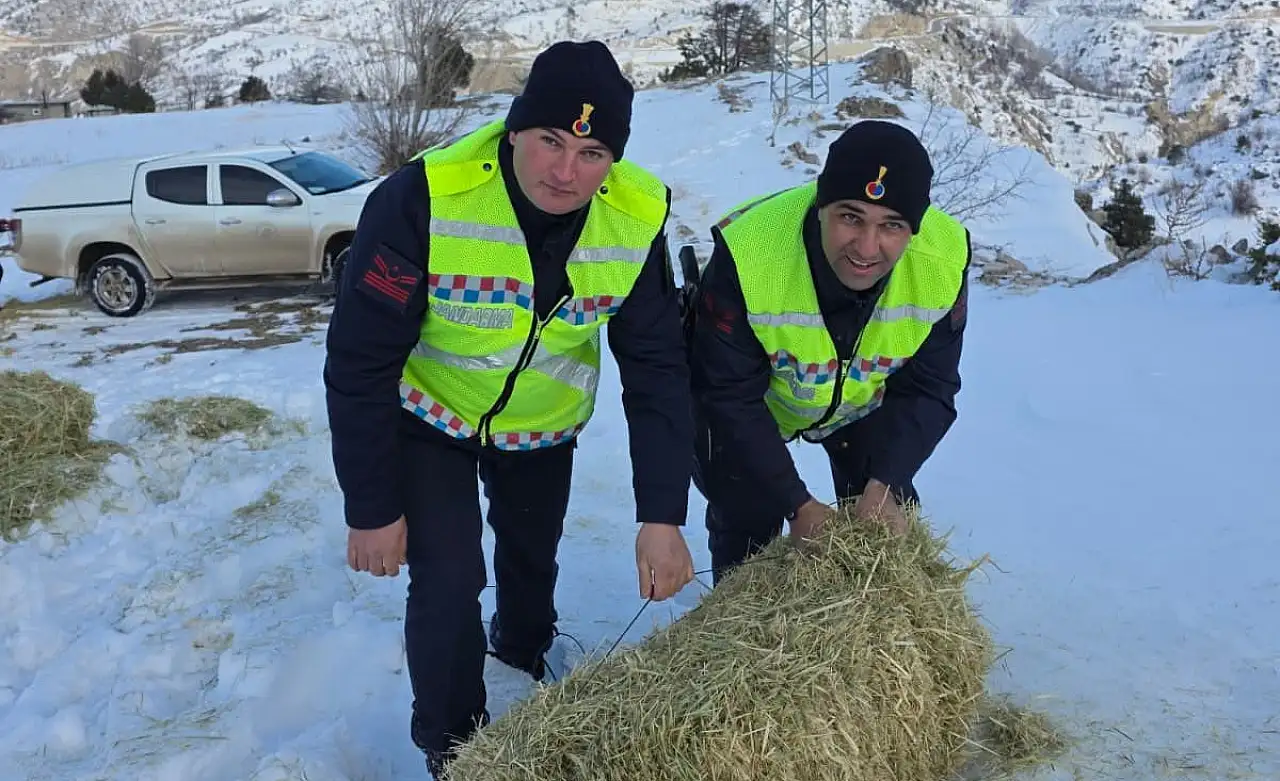 Kaymakam Algın görevlilerle birlikte doğaya yem bıraktı