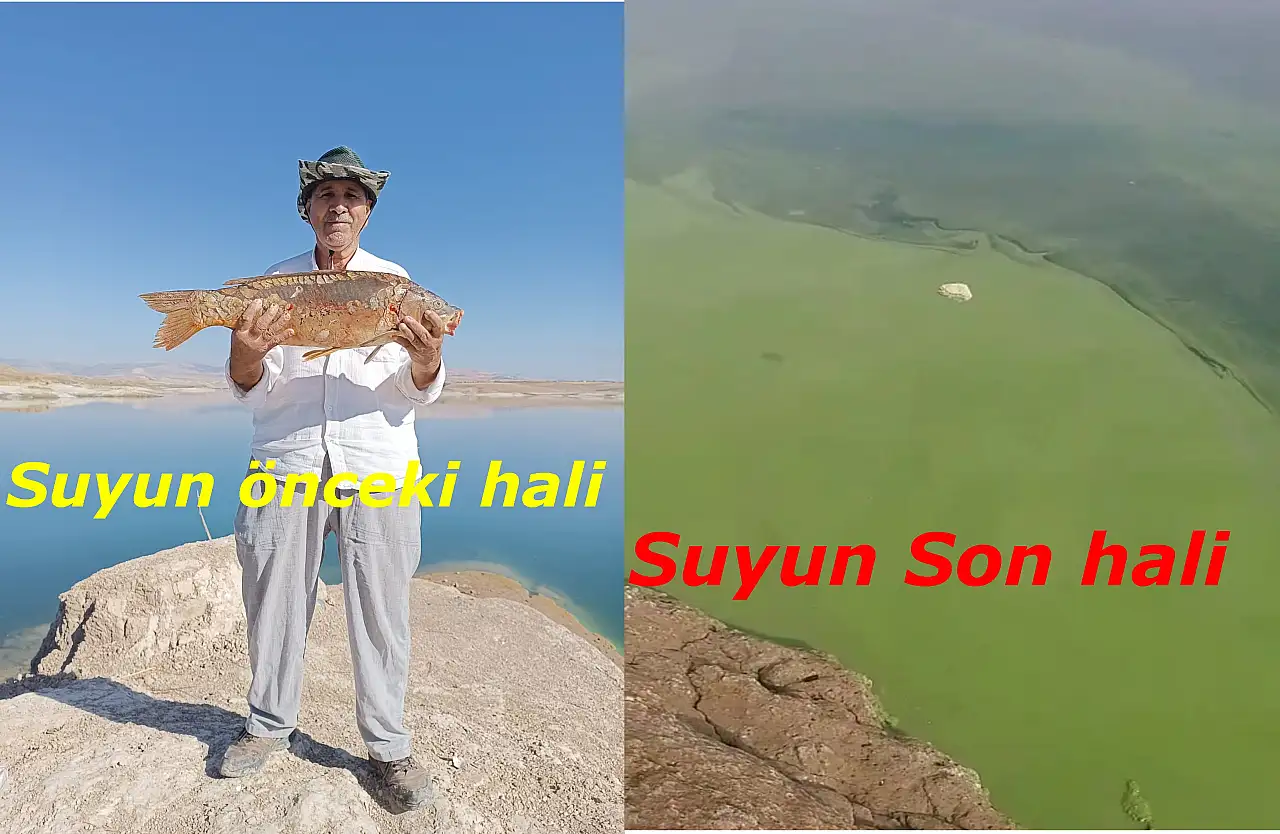 Balık avlamaya gitti hayatının şokunu yaşadı: Atatürk barajında neler oluyor?