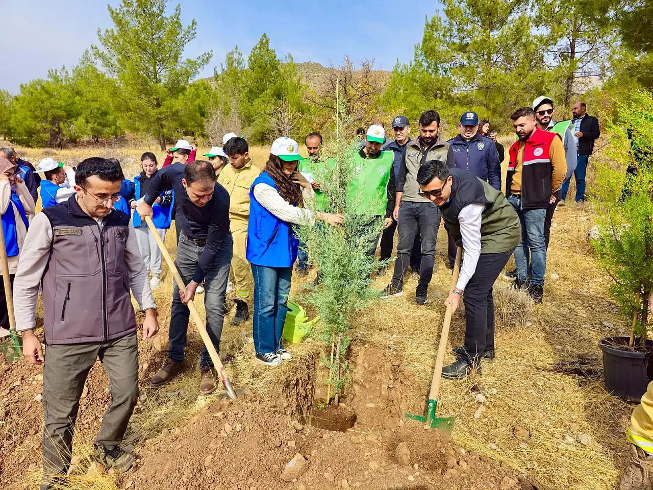 Tut ilçesinde fidanlar toprakla buluştu