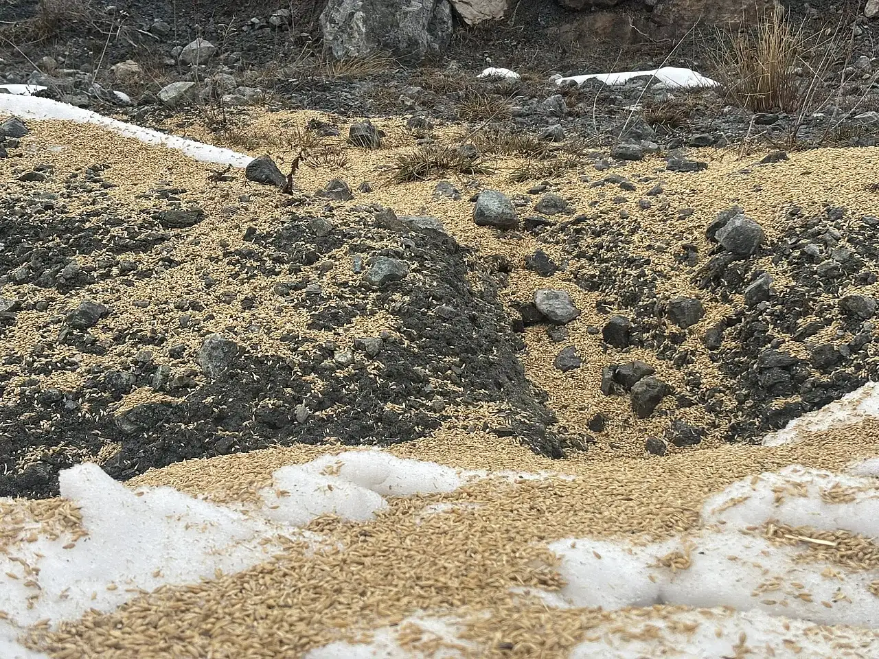 Başkan Aslan'dan kış gününde yürekleri ısıtan hareket