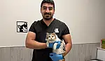 Çenesi üç yerinden kırılan kedi hayata tutundu